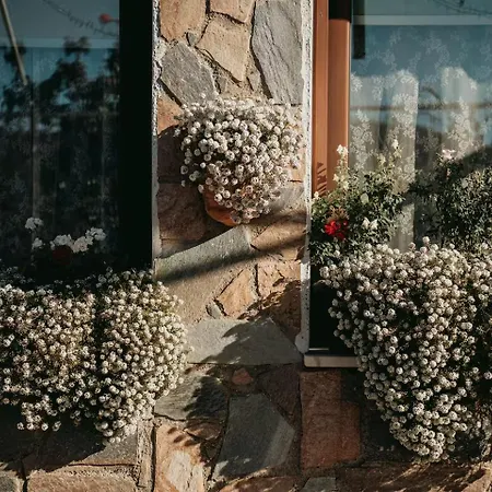 Vista - Mountain Getaway *